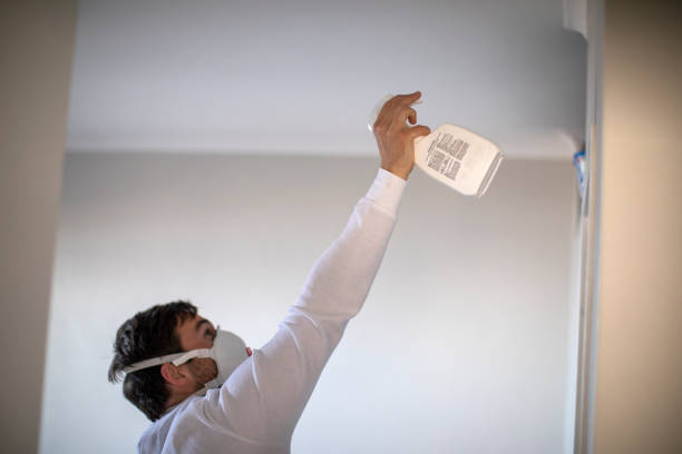 Best Attic Mold Removal  in Mount Healthy, OH